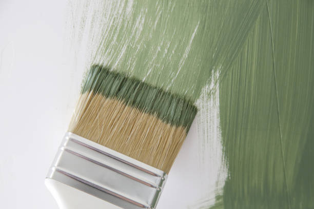 Best Mold Prevention Services  in Lorado Springs, CO