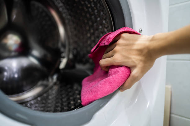 Mold Odor Removal Services in Colorado Springs, CO