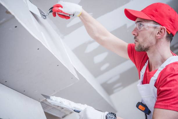 Best Commercial Mold Inspection  in Lorado Springs, CO